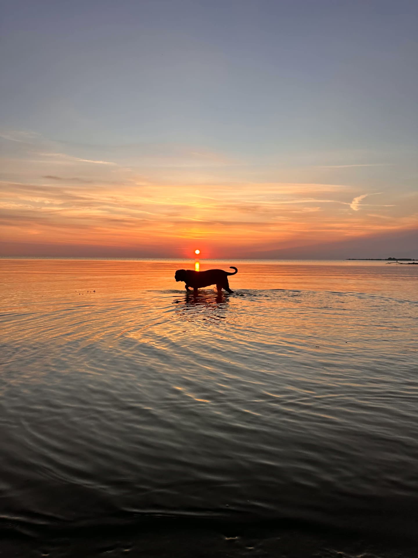 Eleven walking through shallow water at sunset